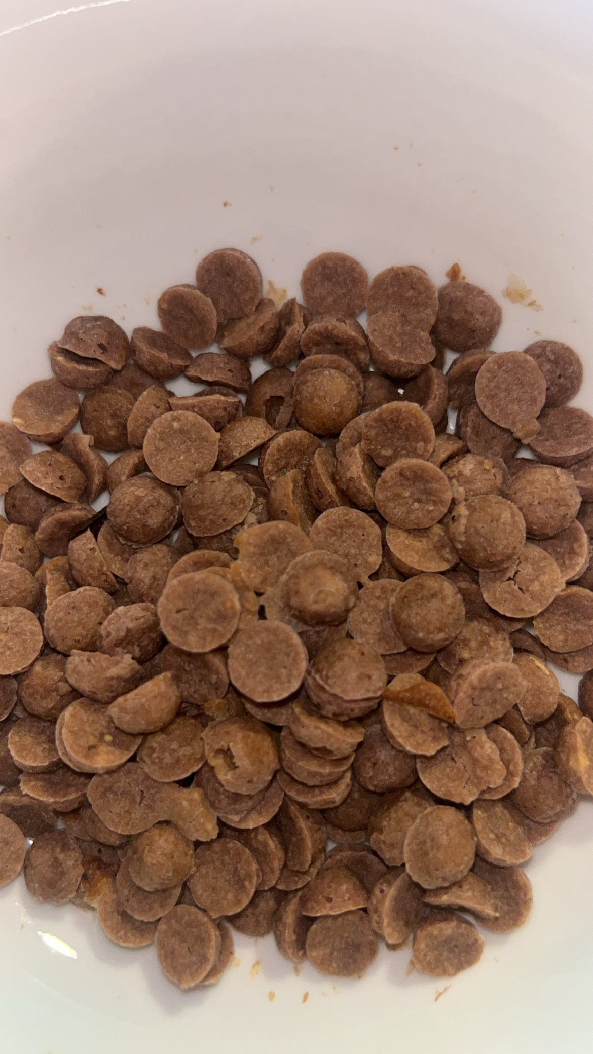 All natural homemade Dog Treats (Training size)